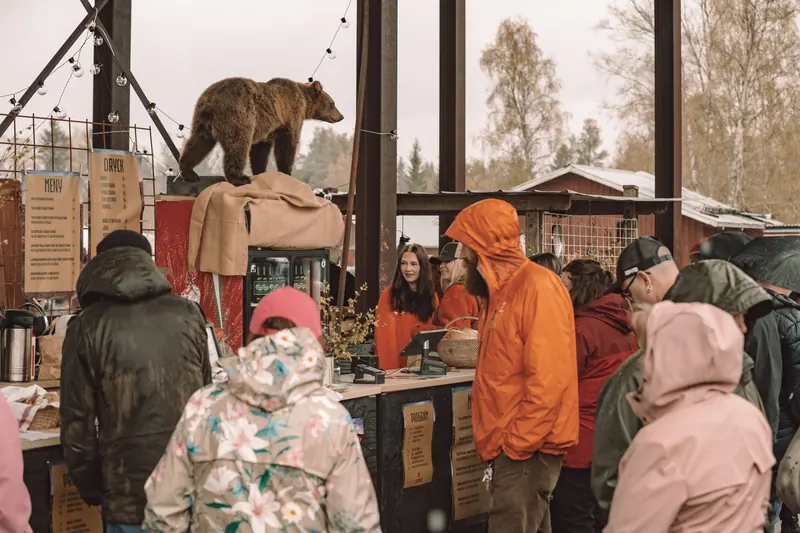 Besökare i regnjackor köar vid baren under den uppstoppade björnen på Backwoods 2026