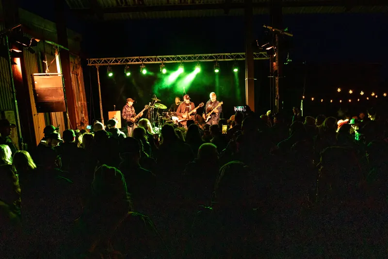 Ett band spelar i grönt scenljus under sågverkstaket inför en tät publik på kvällen under Backwoods 2026
