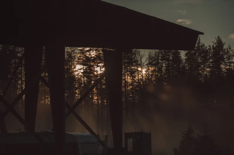 Sågverkstaket på Rotsågen i siluett mot kvällssolen, med dimma mellan tallarna